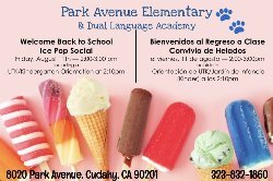 B2S Ice Pop Social